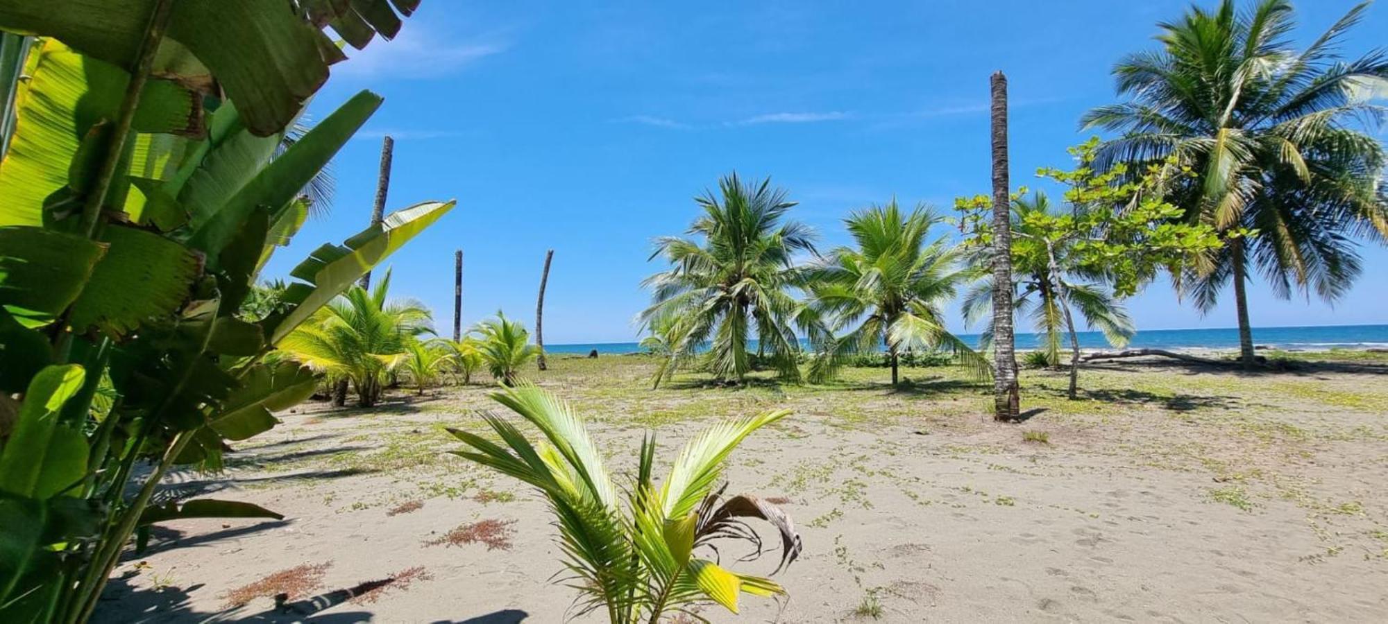 Hotel Playa Westfalia Пуерто-Лімон Екстер'єр фото